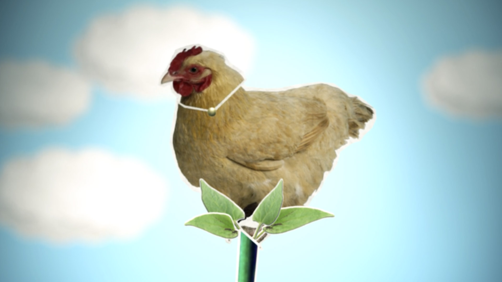 Agrifood Animation 1