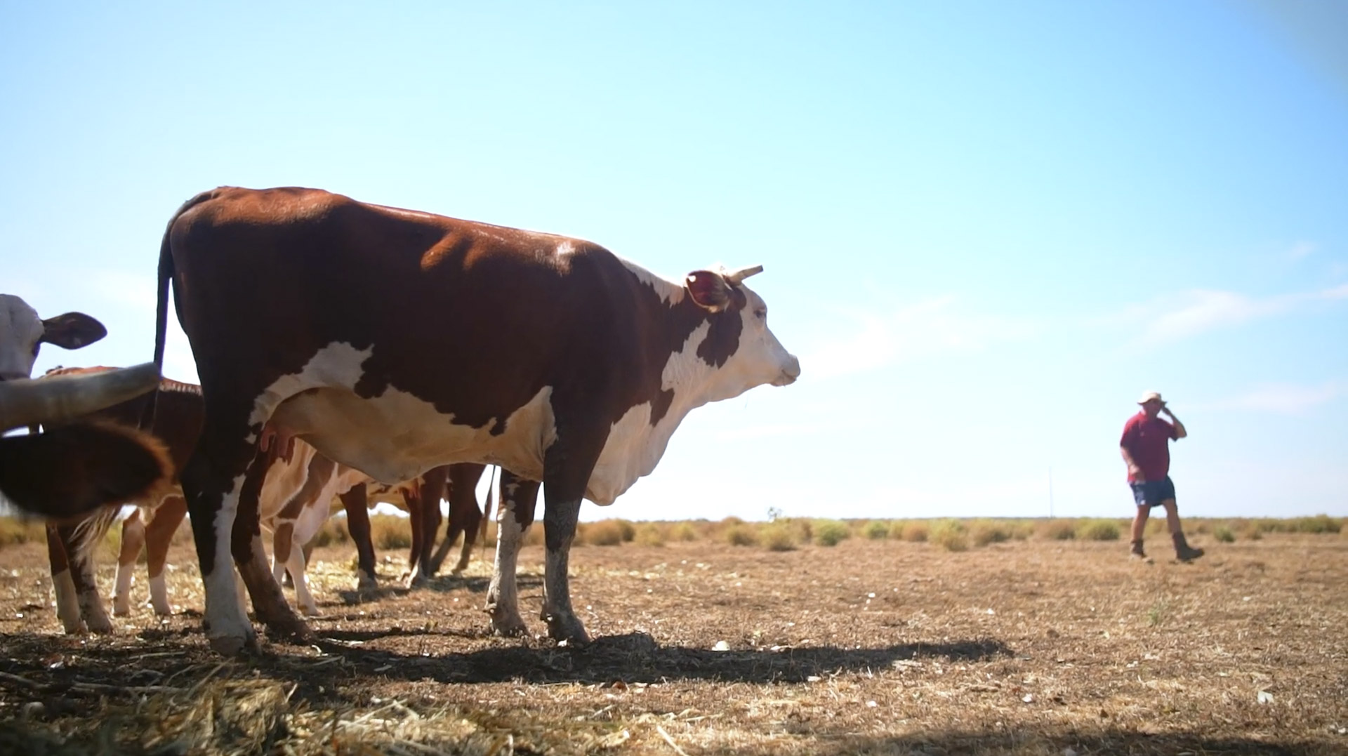 Heart of Aust video 2