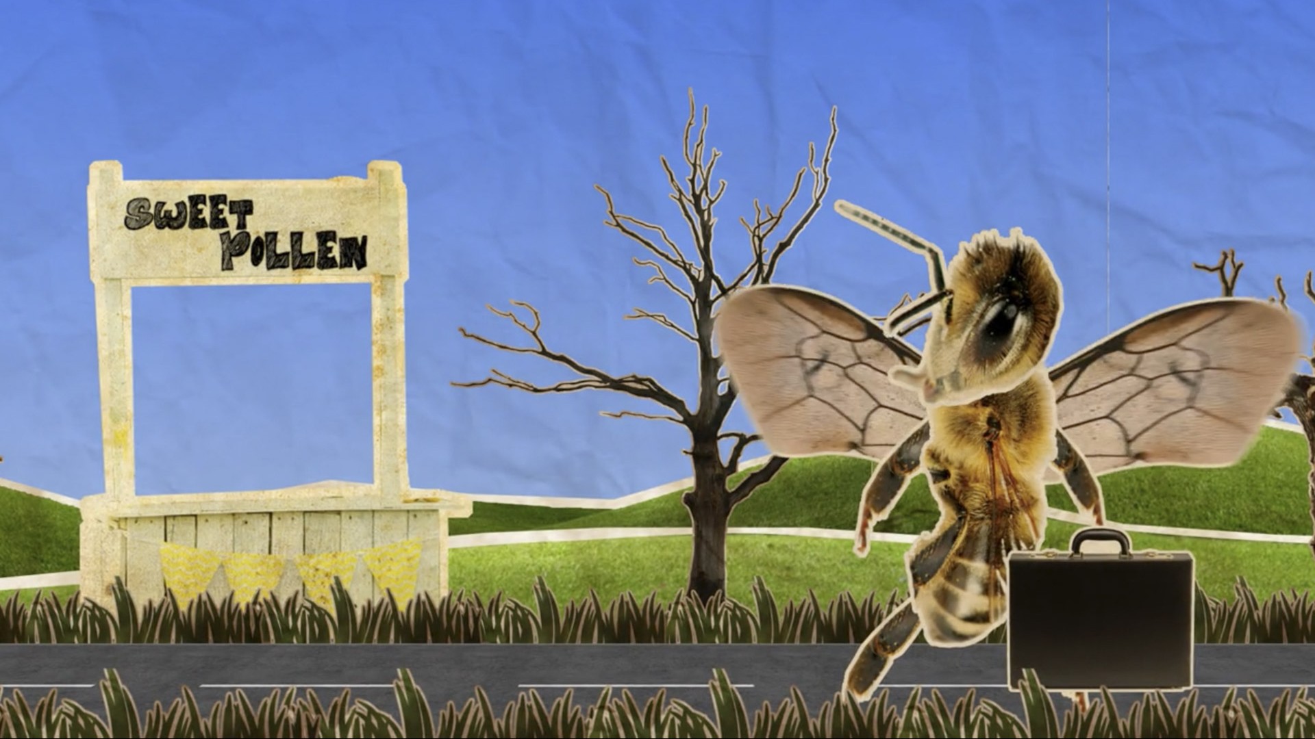 Agrifood Animation 6