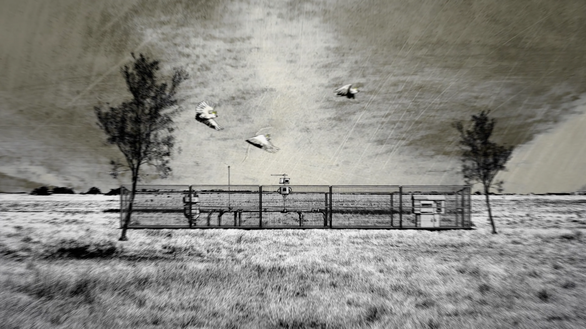 Screenshot 2025 07 18 at 8.49.21AM