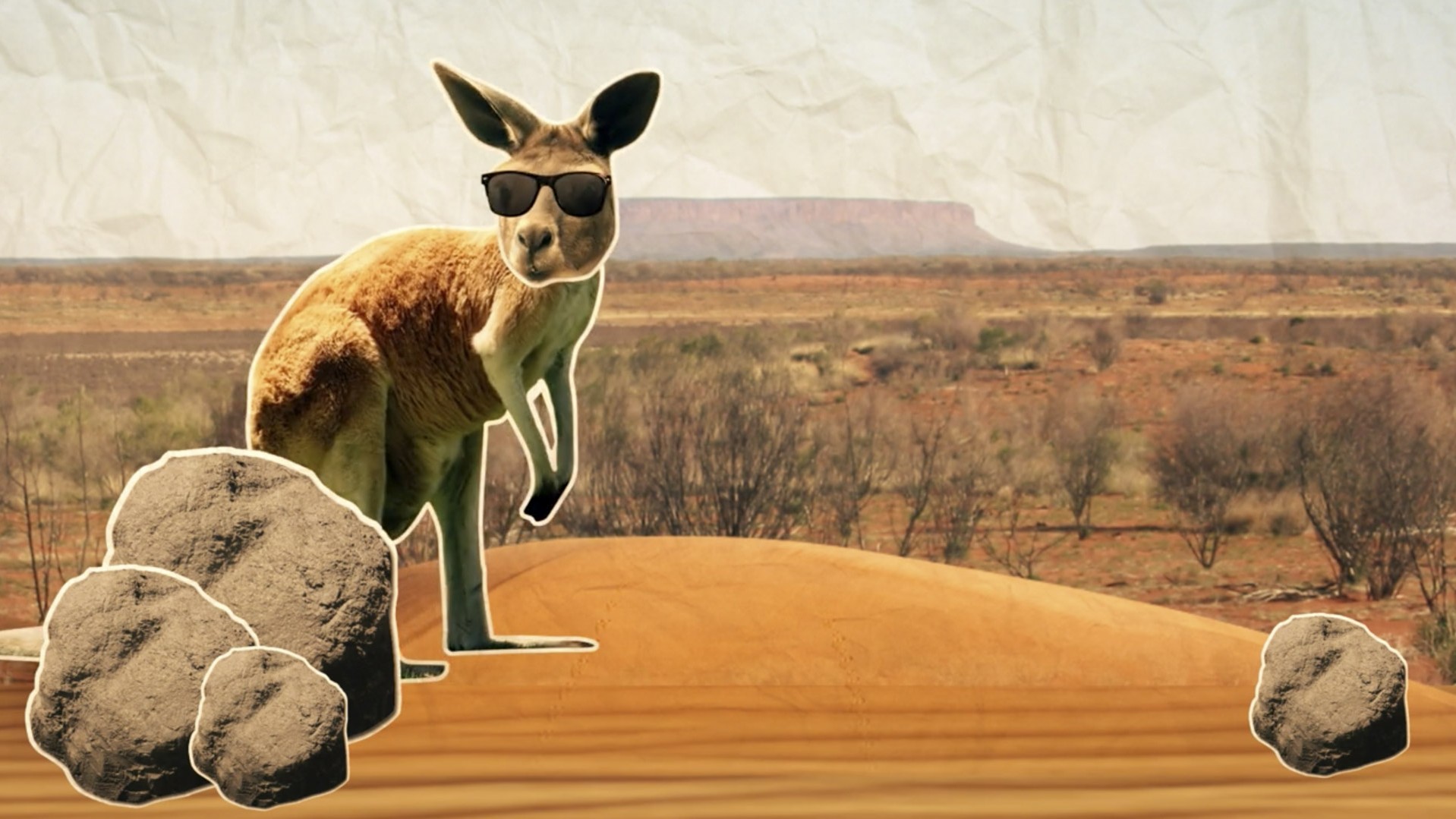 Agrifood Animation 4