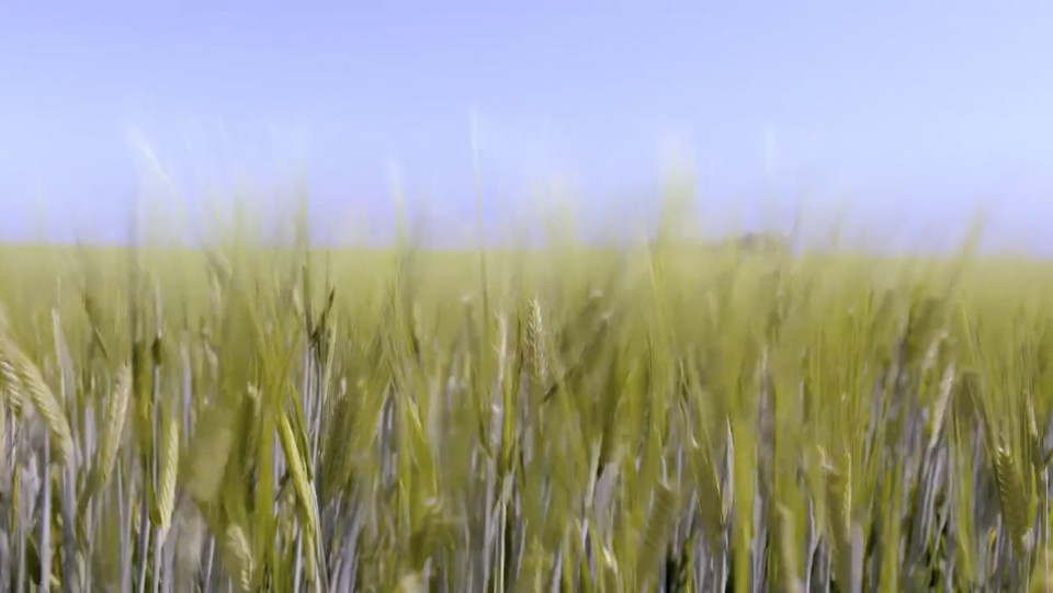 Arrow day in the life video 10