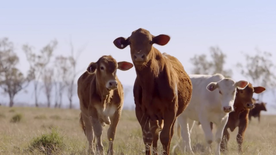 Arrow day in the life video 6